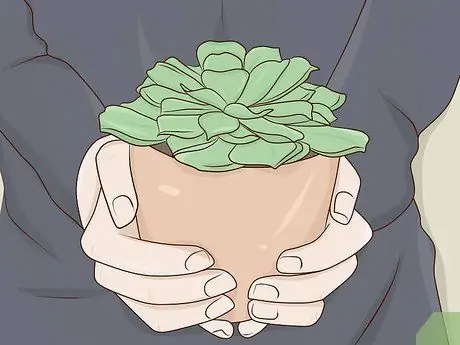 Отметьте Всемирный день психического здоровья на работе Шаг 4