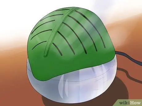 Избавиться от потрескавшихся губ, шаг 2