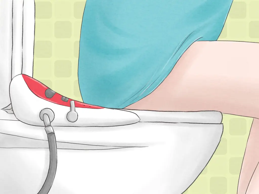 Как найти и использовать заменители туалетной бумаги