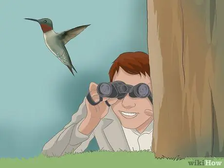 Преодолей страх птиц Шаг 11