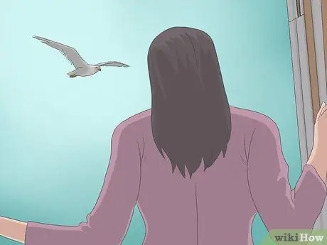 Преодолеть страх птиц Шаг 12