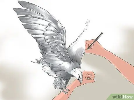 Преодолеть страх птиц Шаг 4