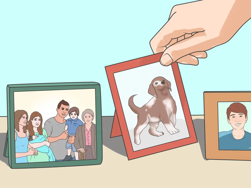 Как украсить, чтобы улучшить настроение: 12 шагов (с картинками)