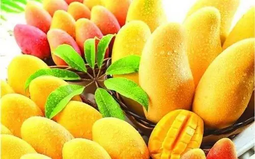 манго манго