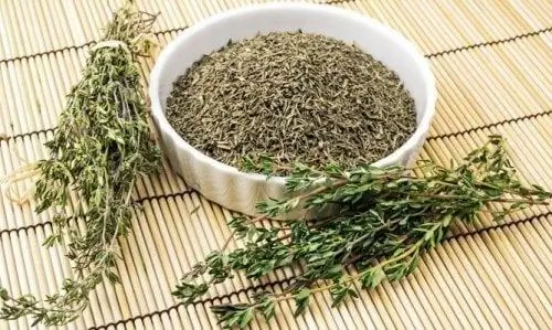 Многочисленные преимущества тимьяна: узнайте о его применении