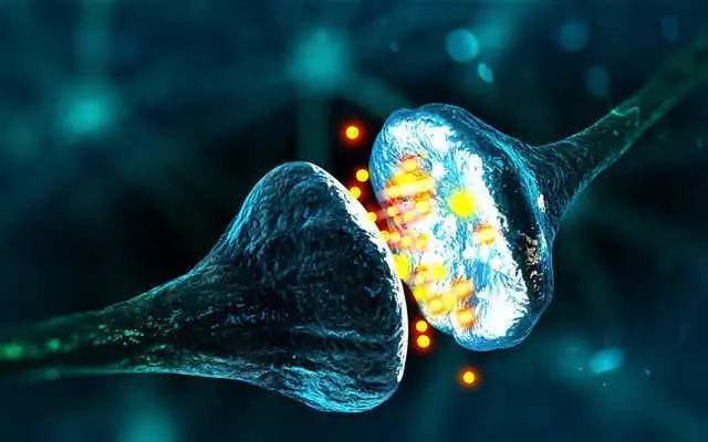 Риски сидячего образа жизни для вашего мозга