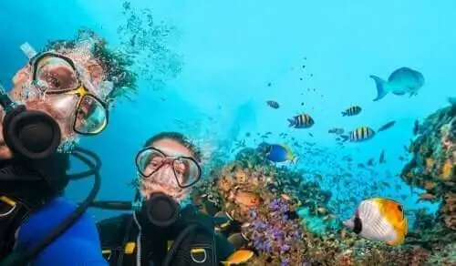 Люди и рыба в море