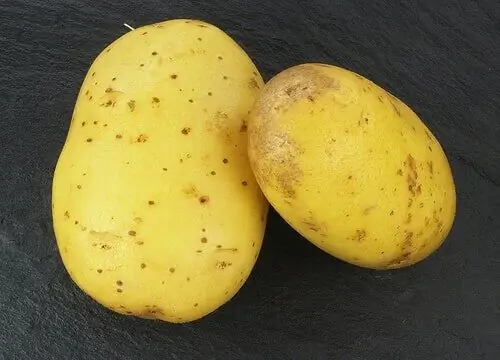 Картошка Картошка