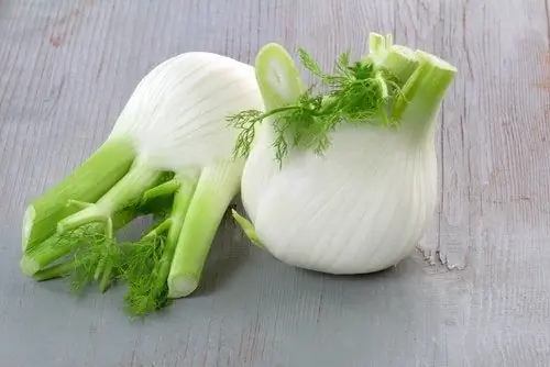 Чай из листьев фенхеля