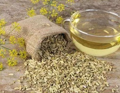 Рецепты чая с фенхелем: натуральные средства для похудения