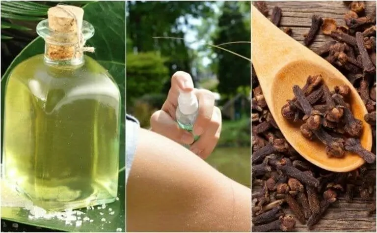 5 лучших самодельных инсектицидов