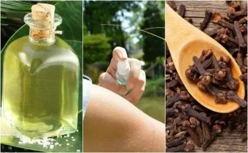 5 лучших самодельных инсектицидов