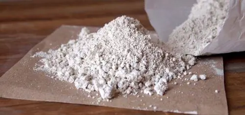 Борьба с блохами с помощью диатомовой земли