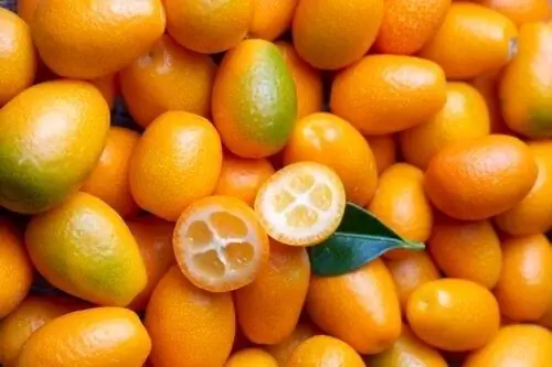 Что такое кумкват и как его используют в кулинарии? Что такое кумкват и как его используют в кулинарии?
