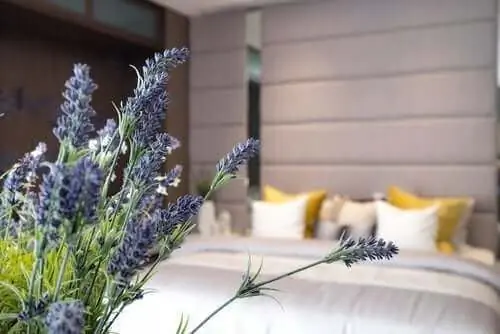 10 ключей к хорошей гигиене сна