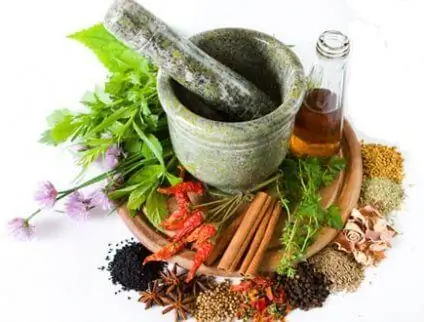 Травы для свежего дыхания