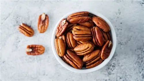 орехи пекан