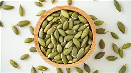 семена тыквы