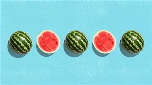 Что такое арбузная диета и безопасна ли она?