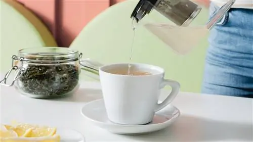 Все о зеленом чае: чем он полезен и чем опасен чрезмерный прием алкоголя