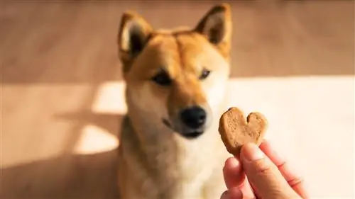 Сладкий картофельный бисквит