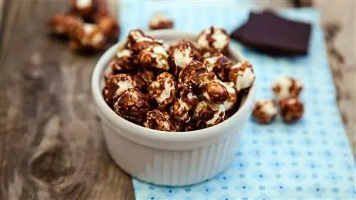 Шоколадный попкорн Майя