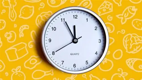 12 животрепещущих вопросов о прерывистом голодании, ответы