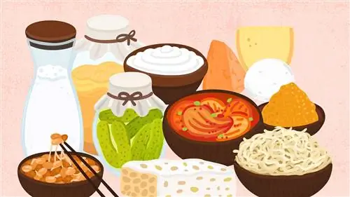 Пробиотические продукты, такие как йогурт, кимчи, кефир