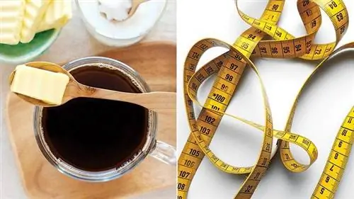 Исследование обещает долгосрочную потерю веса на кетогенной диете