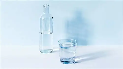 Хорошая гидратация может замедлить старение и снизить риск хронических заболеваний, говорится в исследовании