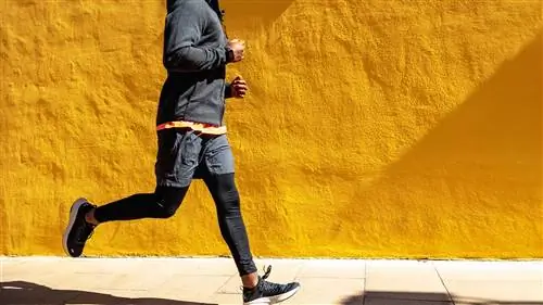 Упражнения кардио улучшают микробиом здоровья кишечника