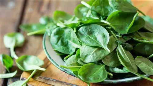 чашка шпината, который может помочь предотвратить рак