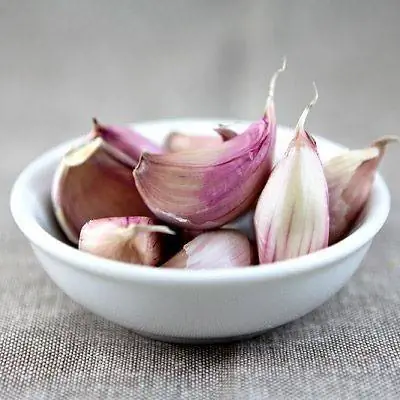 специи-профилактика рака