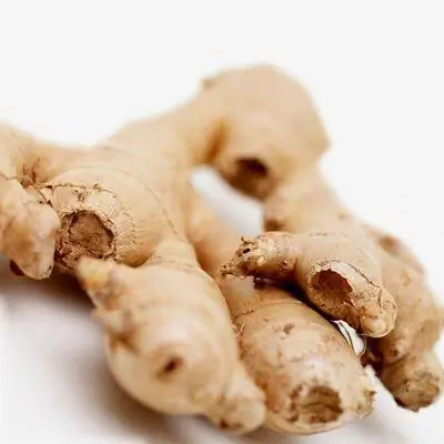 специи-профилактика рака