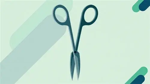 пластическая хирургия