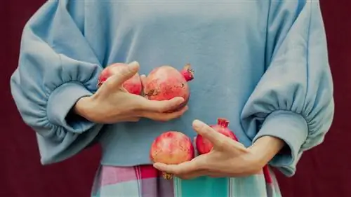 9. Оптимизируйте свою иммунную систему