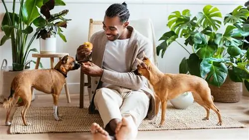 1. Используйте биофилию