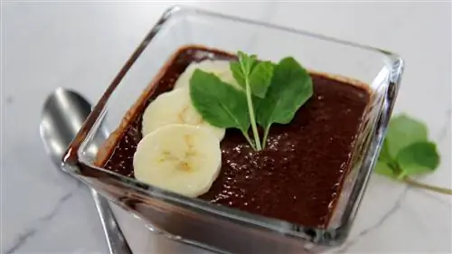 on-trend-crohns-chocolate-chia-pudding-recipe-1440x810