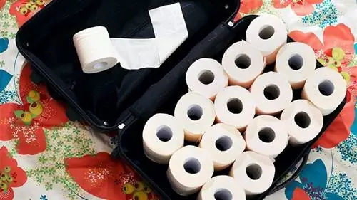 4 совета по предотвращению диареи путешественников