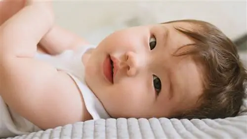 ребенок в белом смотрит в камеру