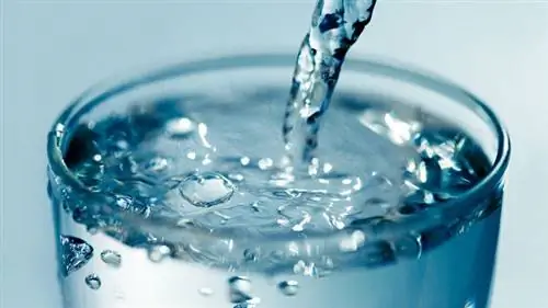 вода усиливает метаболические процессы, перемещает лекарства по организму, улучшает пищеварение и выделение, поддерживает здоровье клеток