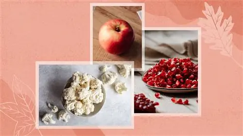 осень фрукты овощи сердце здоровый