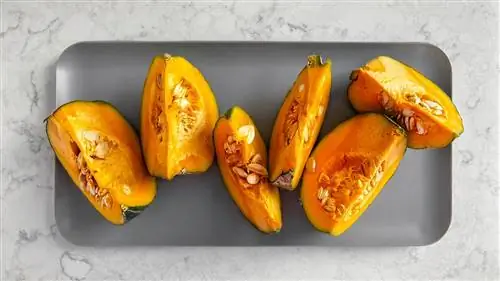 зимний сквош