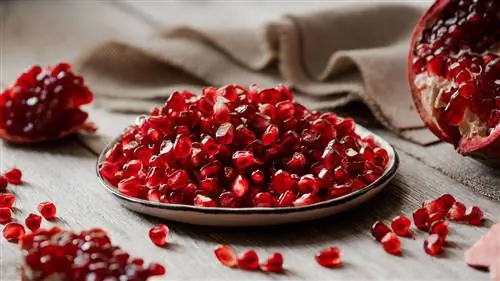 гранат и семена