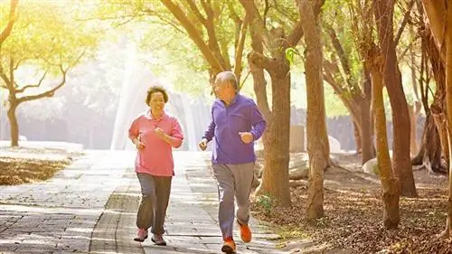 Эксперты говорят, что многие пожилые люди могут пропустить прием добавок с витамином D и кальцием