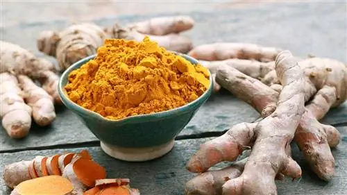 CS-Foods-to-Eat-or-Avoid-for-Psoriatic-Arthritis-09-Curmeric- alt-1440x810 CS-Foods-to-Eat-or-Avoid-for-Psoriatic-Arthritis-09-Curmeric- alt-1440x810