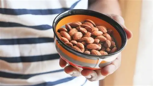 CS-Foods-to-Eat-or-Avoid-for-Psoriatic-Arthritis-10-Nuts- alt-1440x810 CS-Foods-to-Eat-or-Avoid-for-Psoriatic-Arthritis-10-Nuts- alt-1440x810