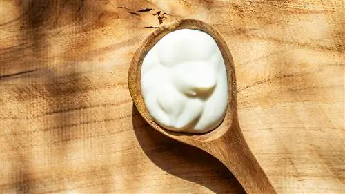 CS-Foods-to-Eat-or-Avoid-for-Psoriatic-Arthritis-11-Yogurt-Probiotic- alt-1440x810 CS-Foods-to-Eat-or-Avoid-for-Psoriatic-Arthritis-11-Yogurt-Probiotic- alt-1440x810