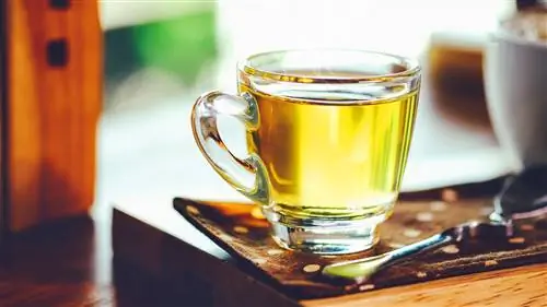 CS-Foods-to-Eat-or-Avoid-for-Psoriatic-Arthritis-12-Tea- alt-1440x810 CS-Foods-to-Eat-or-Avoid-for-Psoriatic-Arthritis-12-Tea- alt-1440x810
