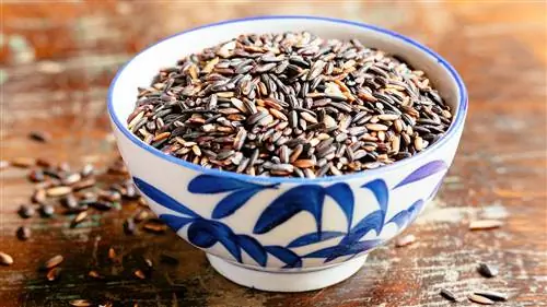 CS-Foods-to-Eat-or-Avoid-for-Psoriatic-Arthritis-02-Whole-Grain- alt-1440x810 CS-Foods-to-Eat-or-Avoid-for-Psoriatic-Arthritis-02-Whole-Grain- alt-1440x810